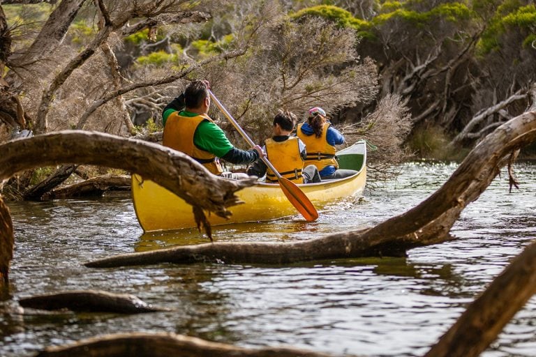 Margaret River's most popular on river tour, is the Bushtucker Tours