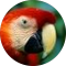 Julia B. Avatar